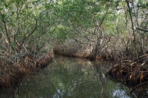 Natur, Meer, Land und Leute entdecken und erleben. Individuelle Reisen nach Kolumbien mit Kolumbienline. Geheimtipp: Insel Providencia